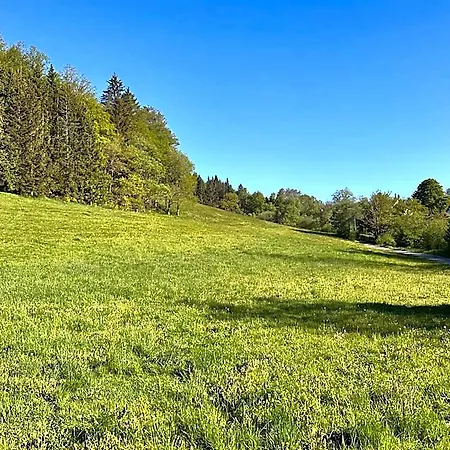 Smart B&b1 Bb1 132 Winterberg